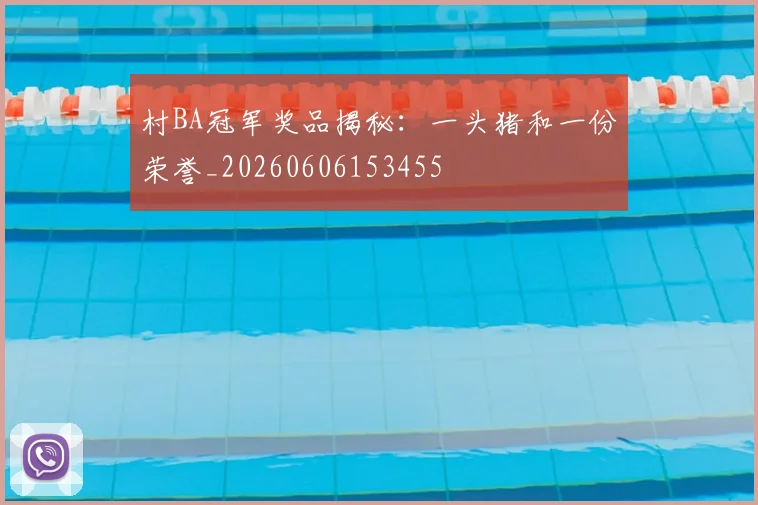 村BA冠军奖品揭秘:一头猪和一份荣誉_20260606153455