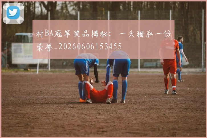 村BA冠军奖品揭秘:一头猪和一份荣誉_20260606153455