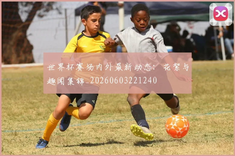 世界杯赛场内外最新动态:花絮与趣闻集锦_20260603221240